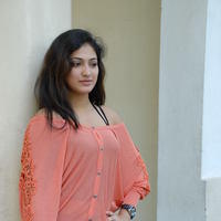 Haripriya at Pilla Jamindar Movie success meet - Pictures | Picture 102992